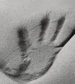 Colchón Farmaortopédico